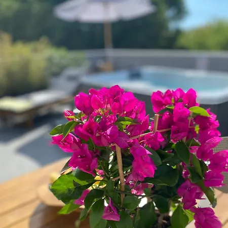 Dalmatia Apartamento *