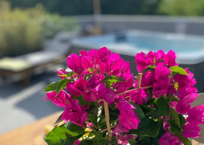 Dalmatia Apartmán *